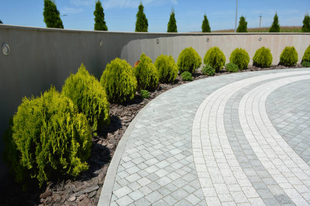 Reasons to Select Us for Your Driveway Paving Requirements in Wyncote, PA